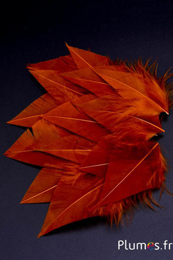 Pétales en plumes avec duvet - 5-7 x 2-3 cm - or aztèque